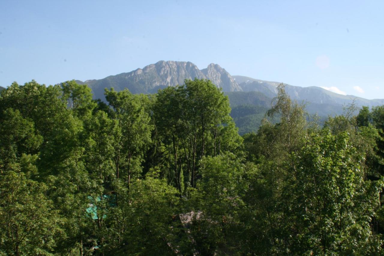 Apartament Top Zakopane Dış mekan fotoğraf